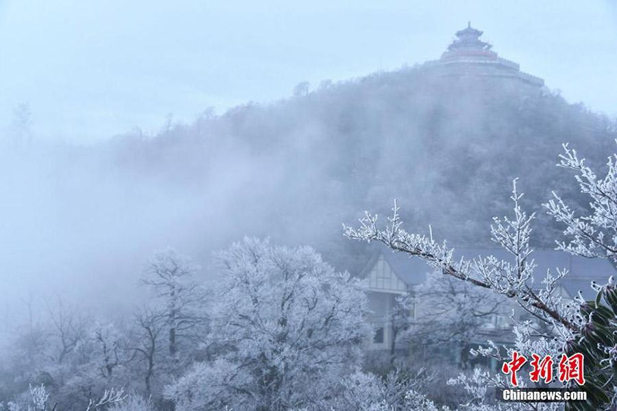 张家界天门山迎今冬首场雾凇 玉树琼枝晶莹剔透(4) 第4页