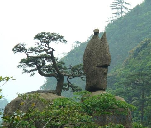 黄山奇石图片(15) 第15页