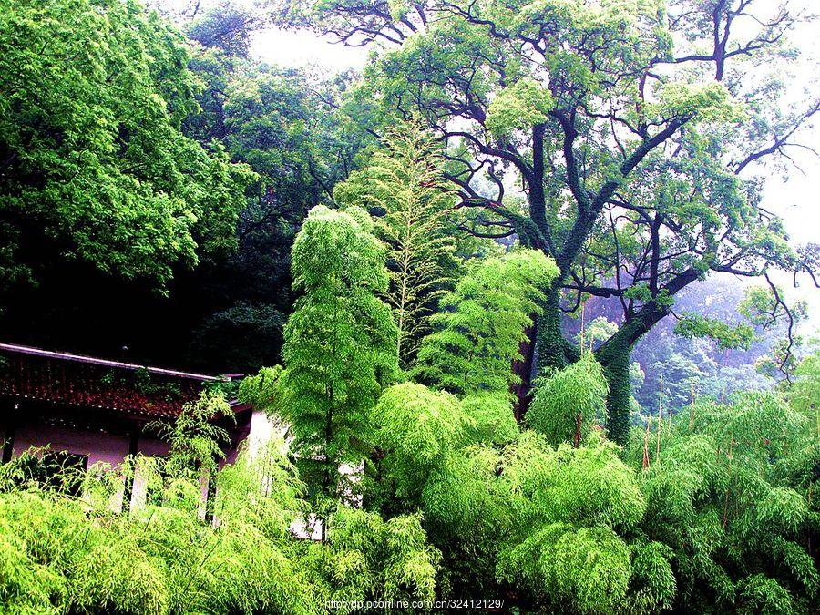 湖南长沙——雨中的岳麓书院(7) 第7页