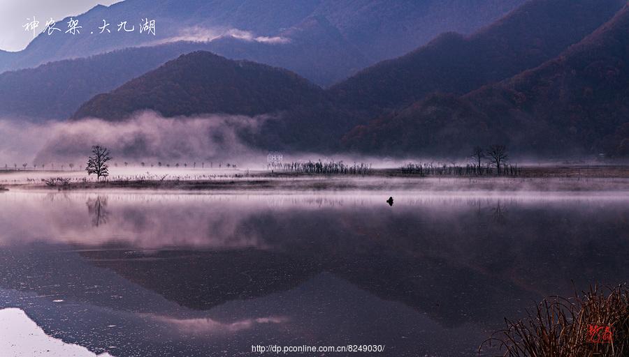 文龙看神州系列片—神农架大九湖早霞 第1页