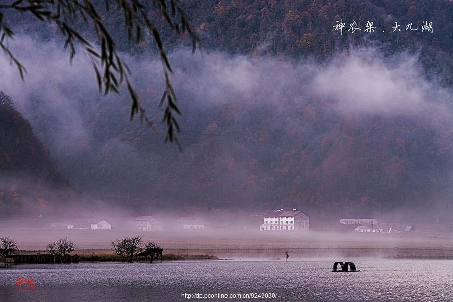 文龙看神州系列片—神农架大九湖早霞(2) 第2页