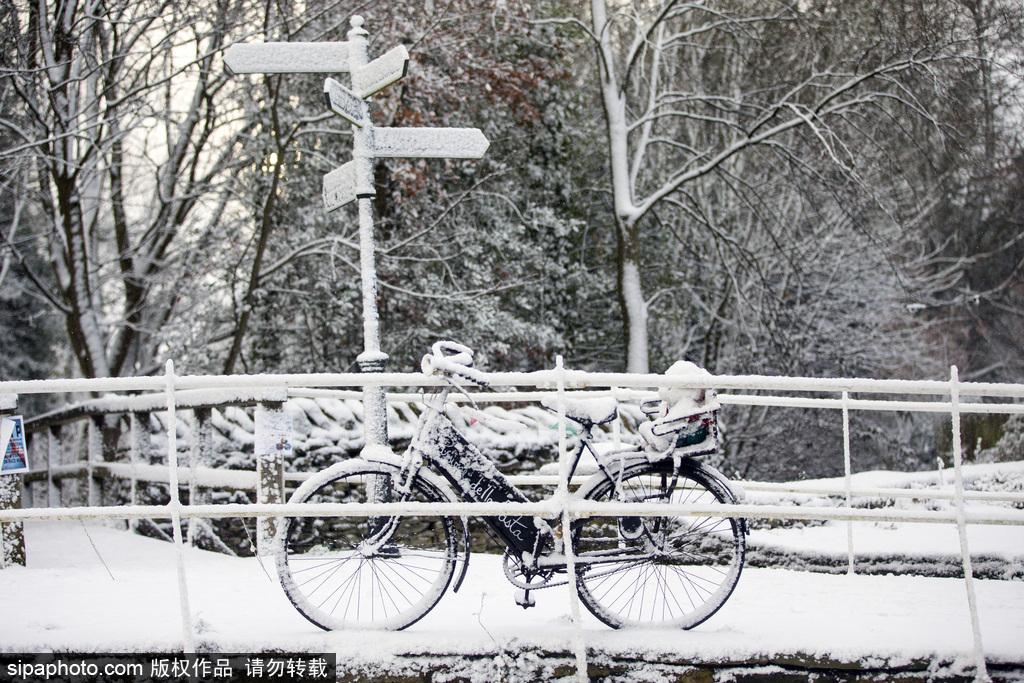 寒冬已至 英国约克郡大雪纷飞(10) 第10页