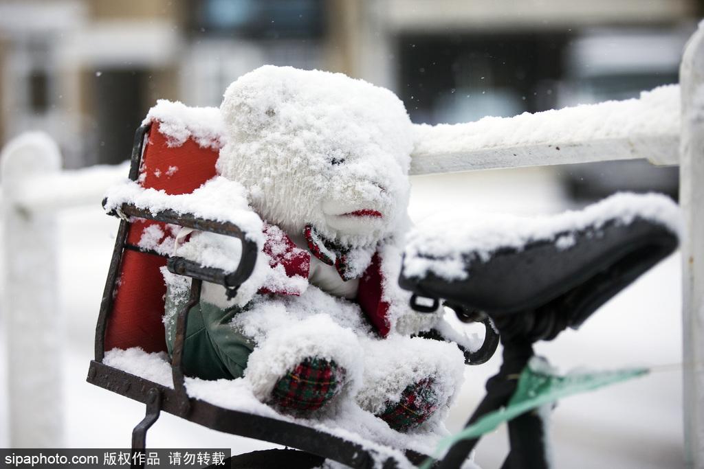 寒冬已至 英国约克郡大雪纷飞(12) 第12页