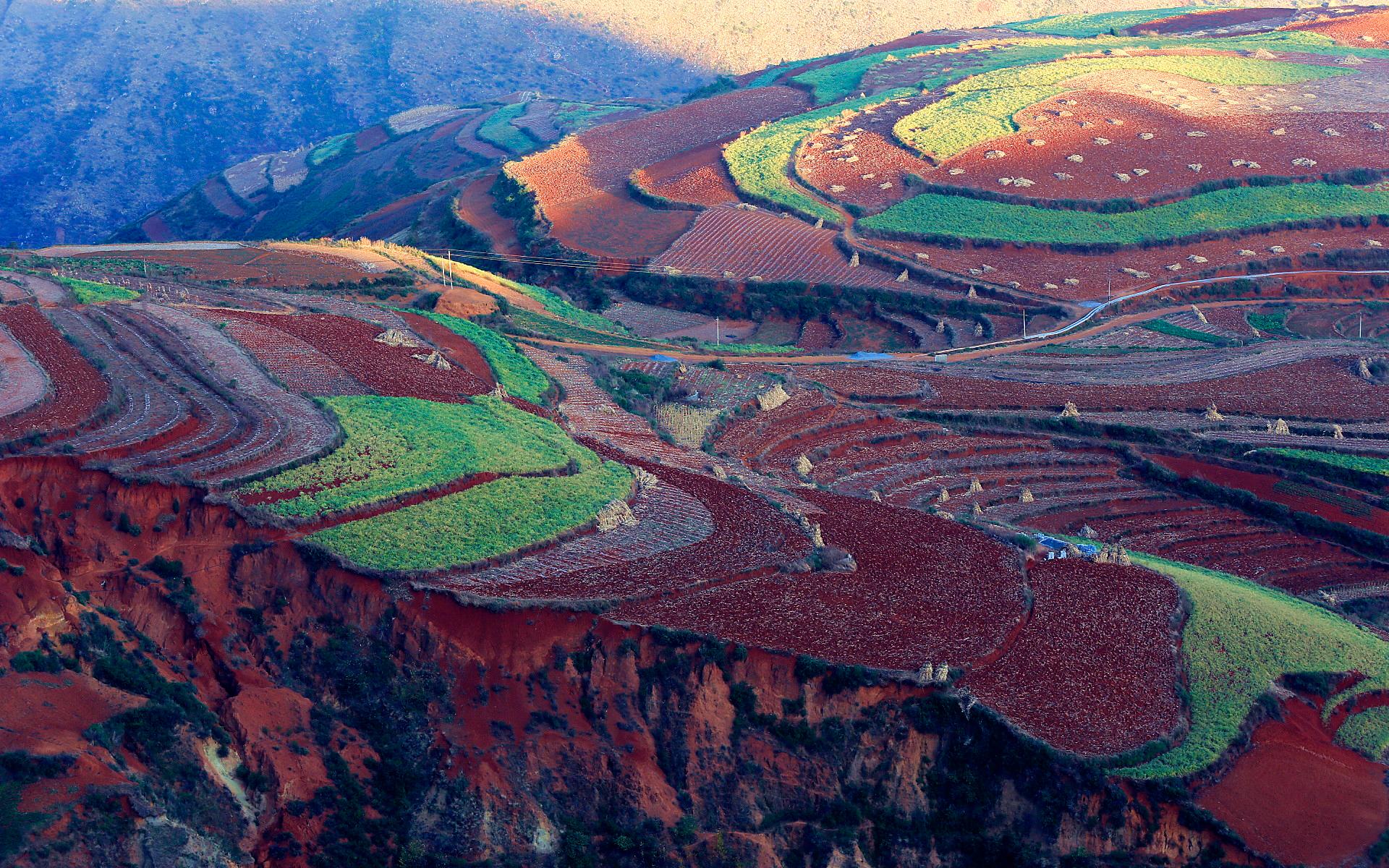 东川红土地自然风景图片大全欣赏(14) 第14页