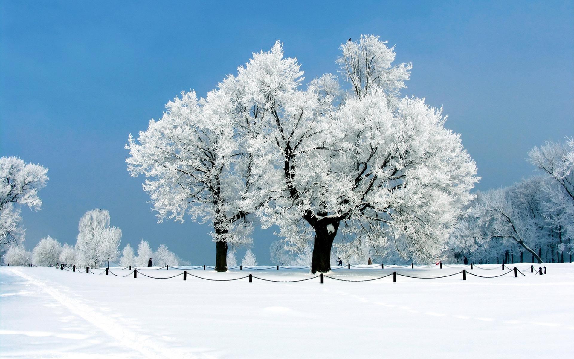 唯美冬季白色雪景高清图片电脑壁纸(7) 第7页