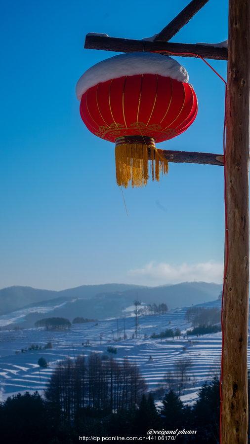 雪润灯红 第1页