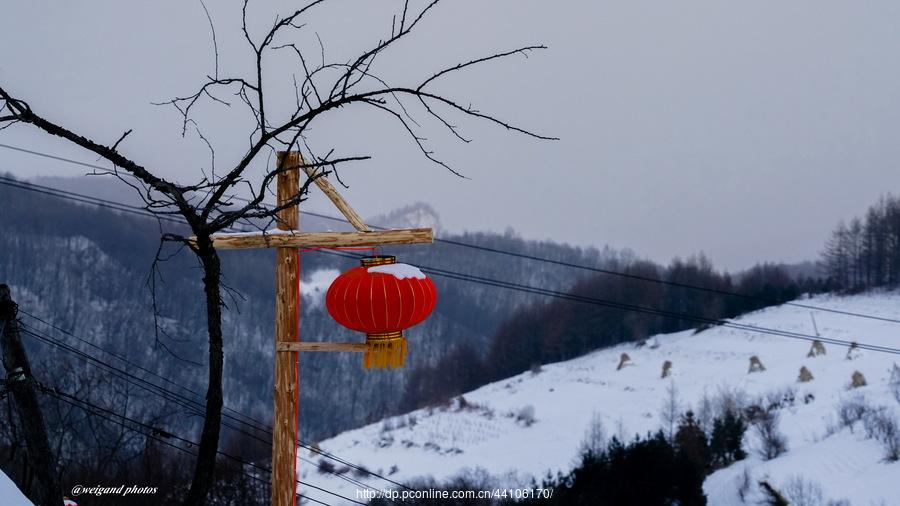 雪润灯红(11) 第11页