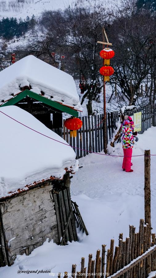 雪润灯红(13) 第13页