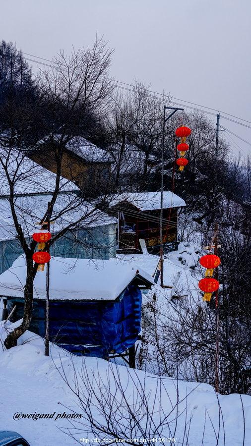 雪润灯红(14) 第14页