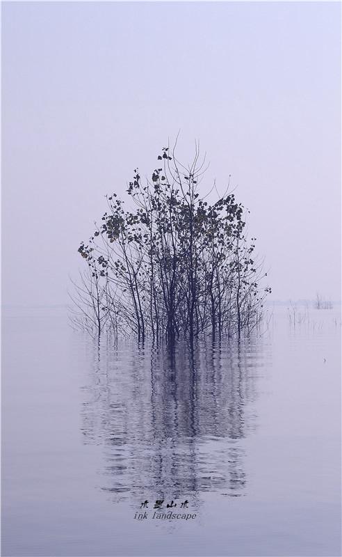 黑白视角：水墨湿地图(10) 第10页