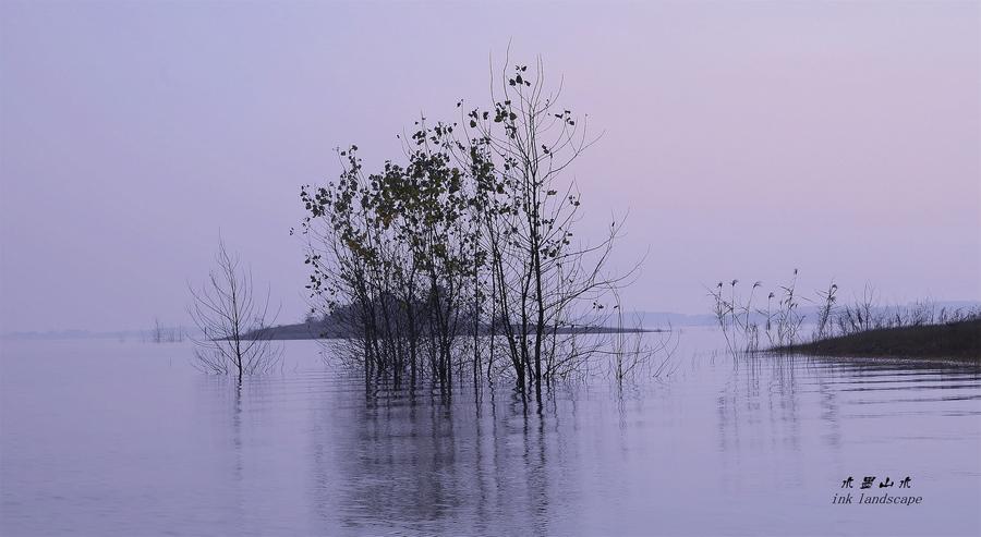 黑白视角：水墨湿地图(15) 第15页