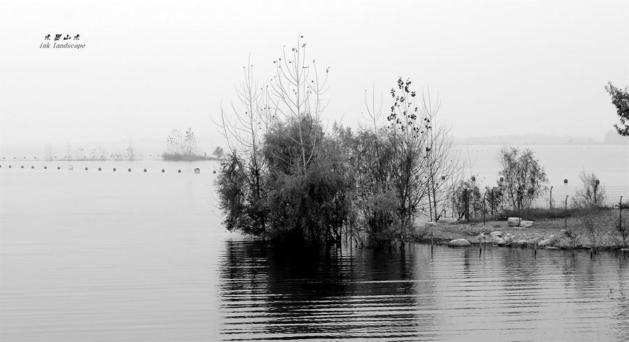 黑白视角：水墨湿地图(7) 第7页