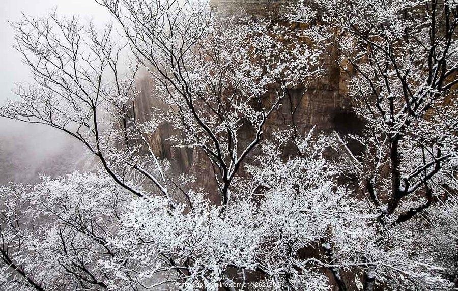 太行山上的雪(12) 第12页