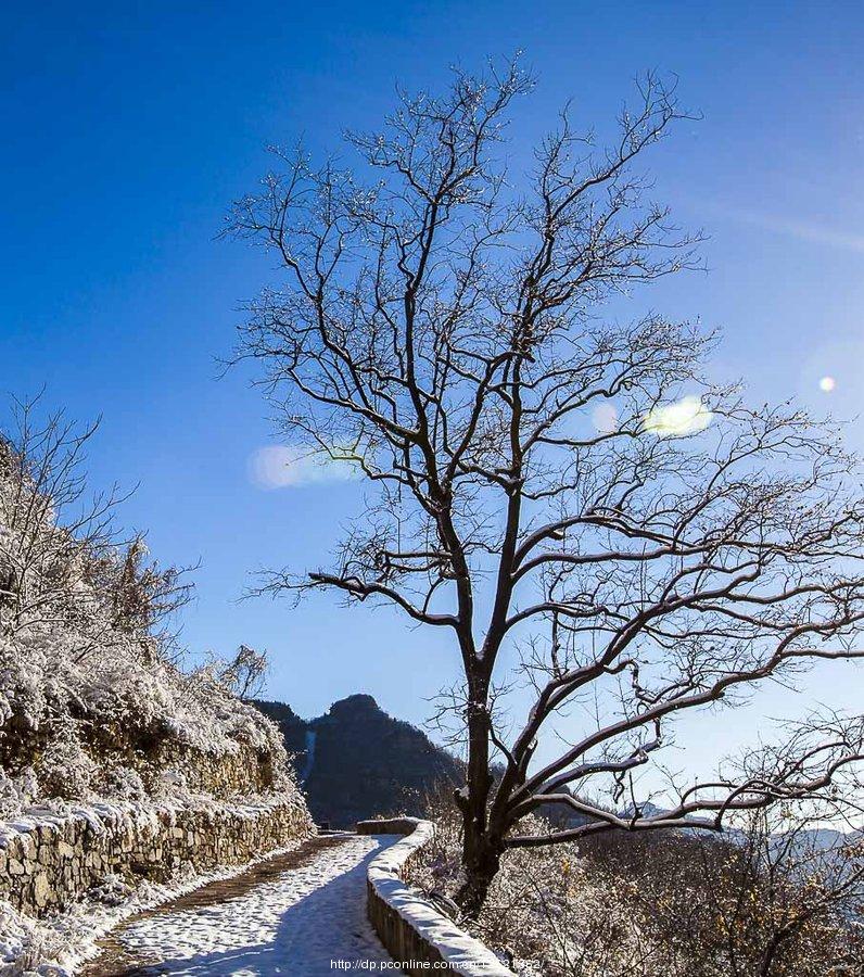 太行山上的雪(15) 第15页