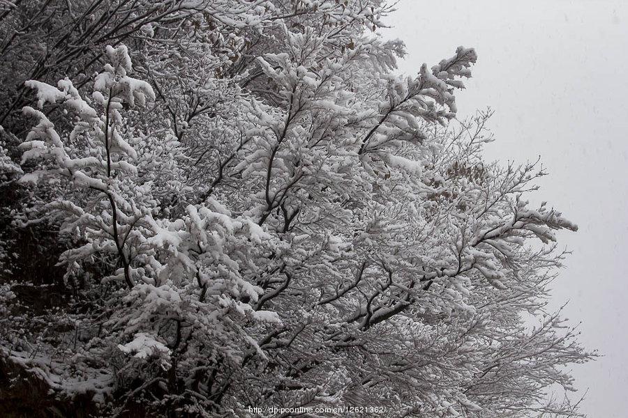 太行山上的雪(4) 第4页