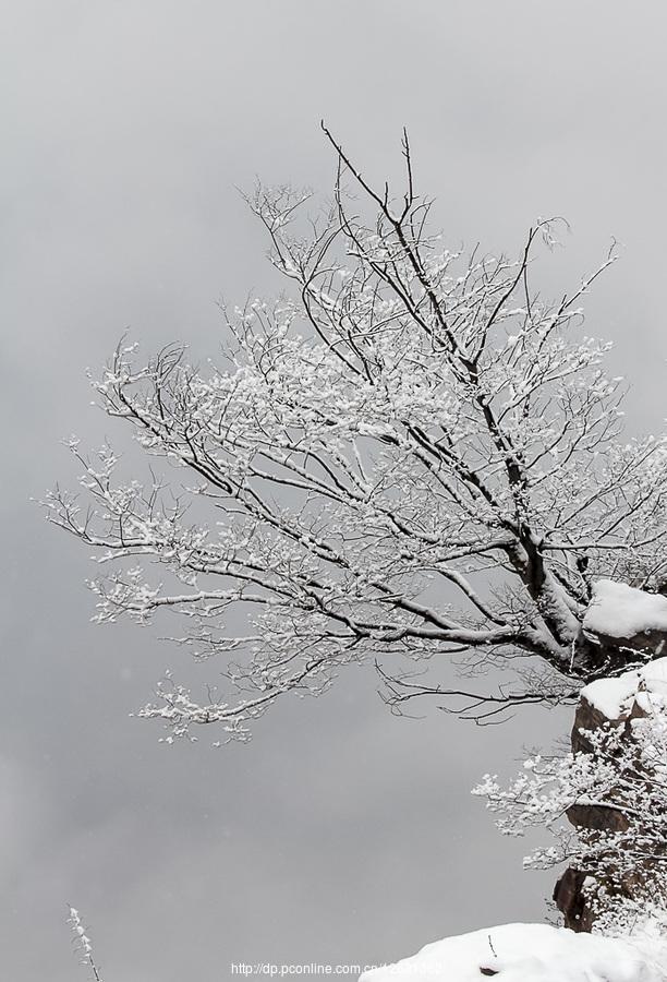 太行山上的雪(7) 第7页