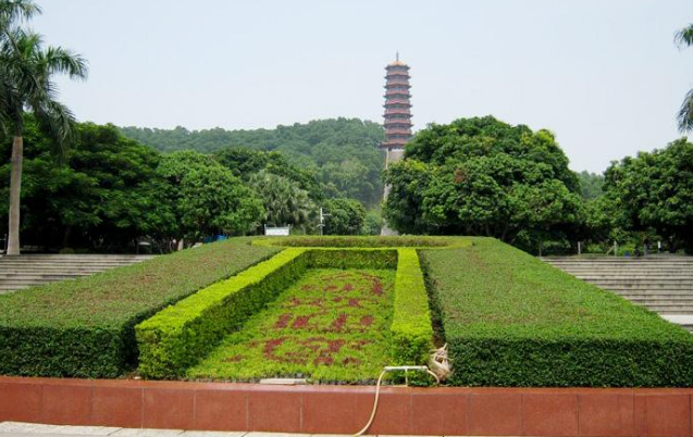 深圳城市图片(3) 第3页