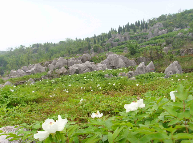 芜湖南陵西山风景区图片 第1页