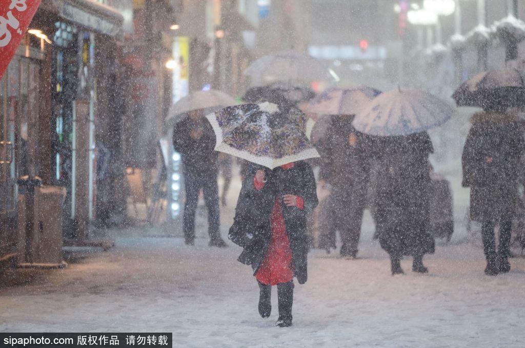 日本东京迎来大雪天气 雪花纷飞寒气逼人 第1页
