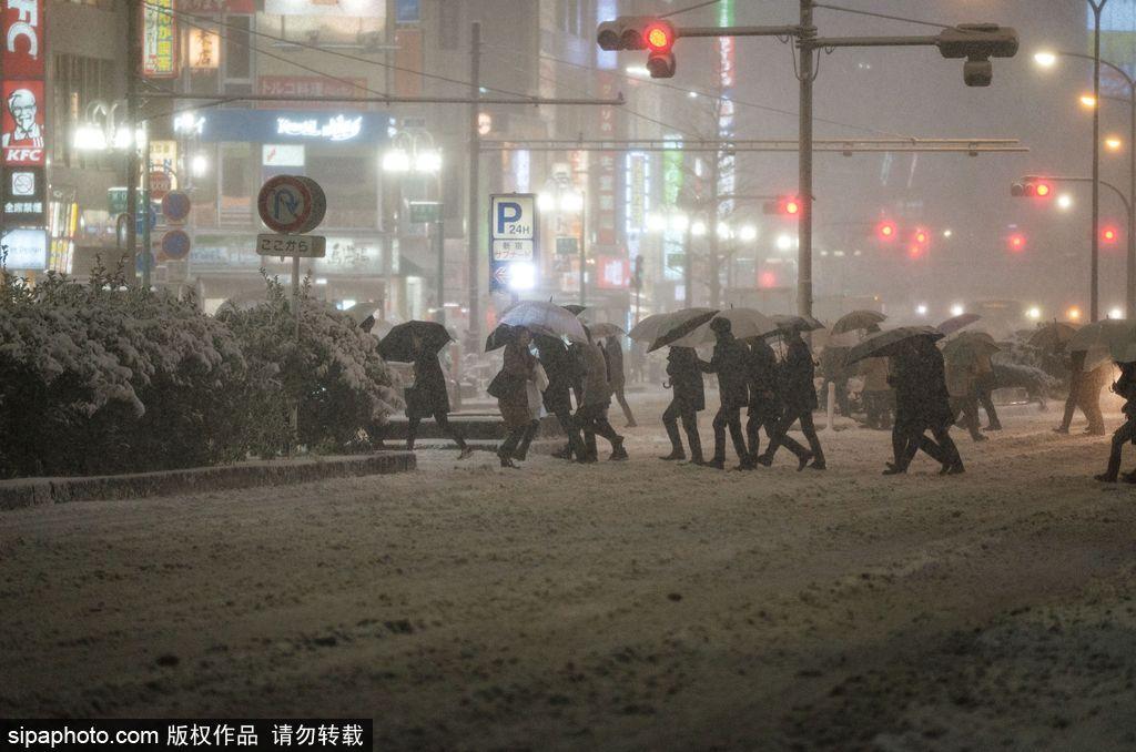 日本东京迎来大雪天气 雪花纷飞寒气逼人(10) 第10页