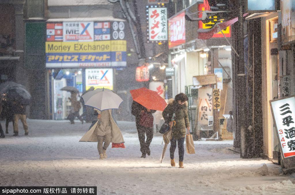 日本东京迎来大雪天气 雪花纷飞寒气逼人(12) 第12页