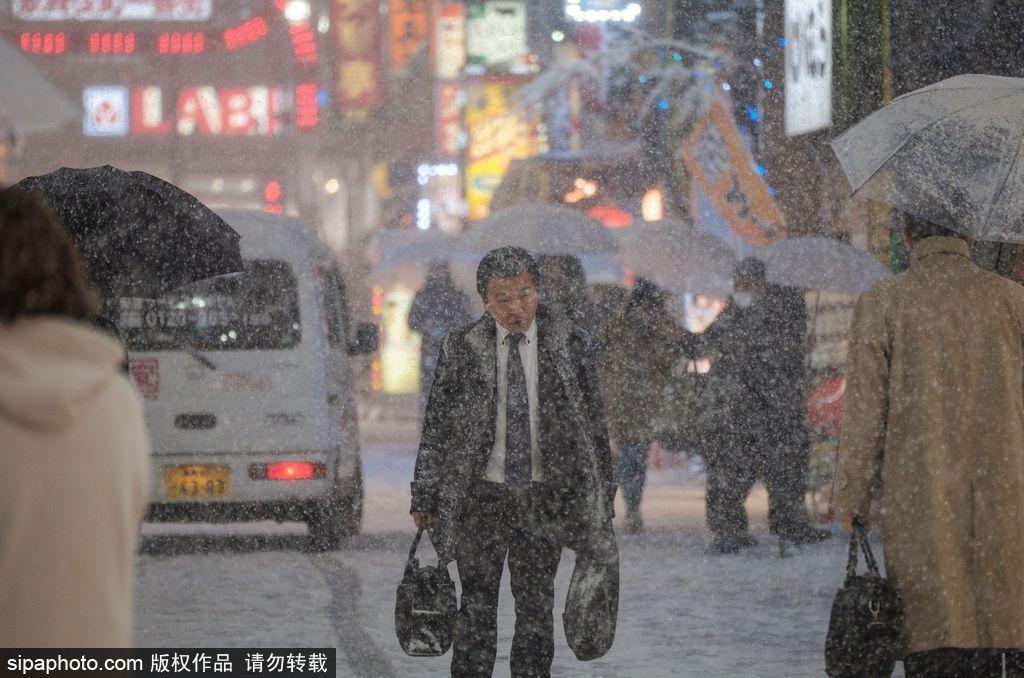 日本东京迎来大雪天气 雪花纷飞寒气逼人(17) 第17页