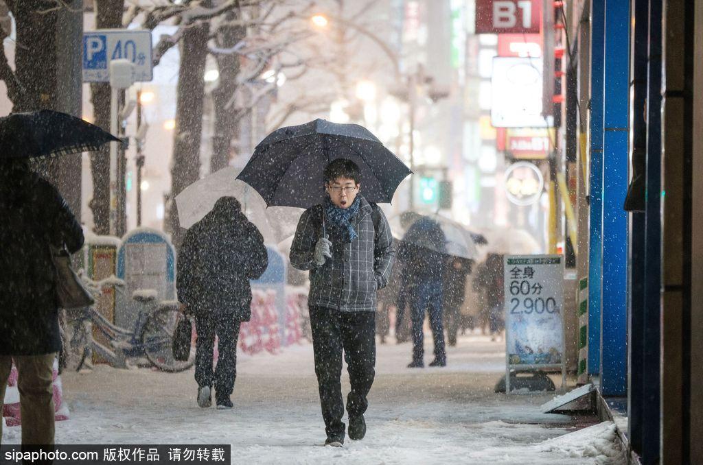 日本东京迎来大雪天气 雪花纷飞寒气逼人(7) 第7页