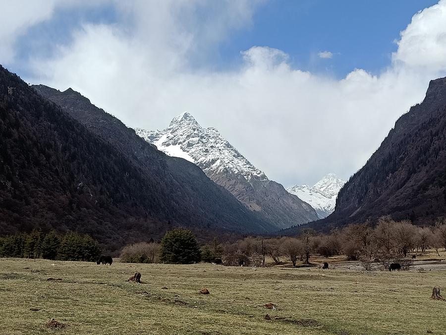 全新AI智能拍照 OPPO R15手机拍摄川西高原美景(5) 第5页