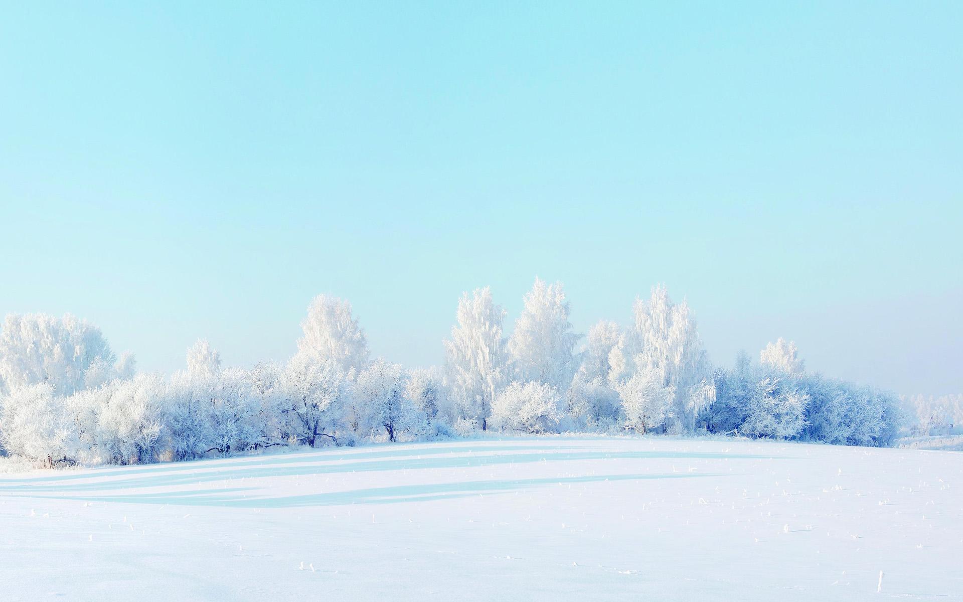 冬季雪景唯美高清图片桌面壁纸