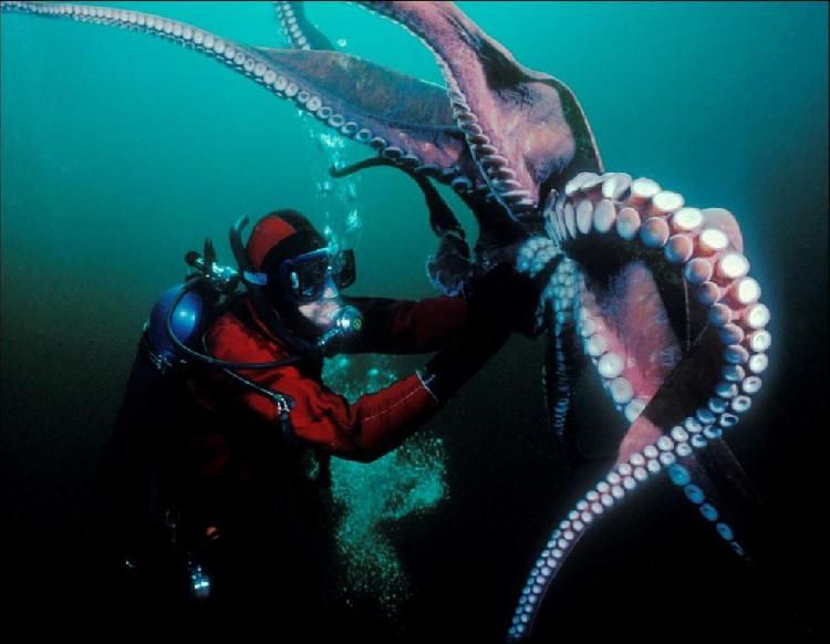 深海恐怖巨型生物,深海恐惧