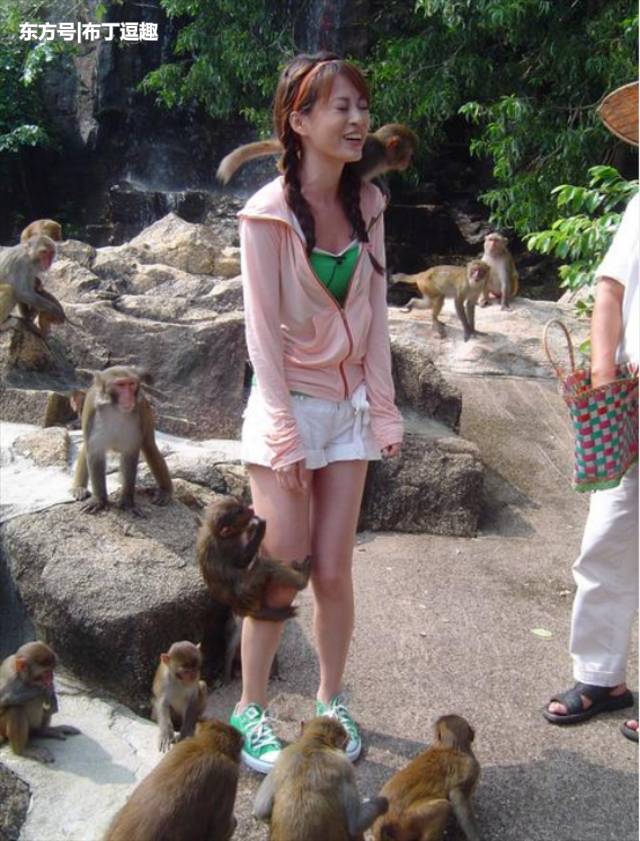 漂亮妹子穿短裙看猴子，被猴子骚扰怕了，以后再也不去了 第1页