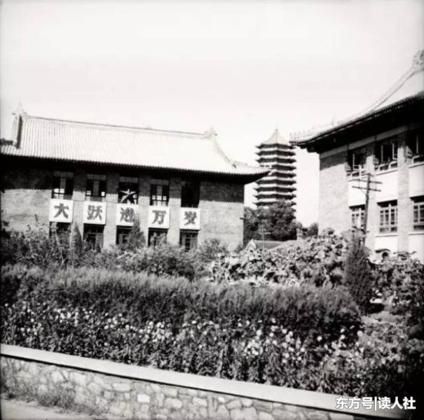 光影流年,1961年代的北京大学,老照片(2)